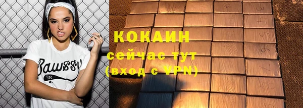 гидра Рославль