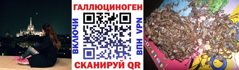 Псилоцибиновые грибы ЛСД Верхоянск